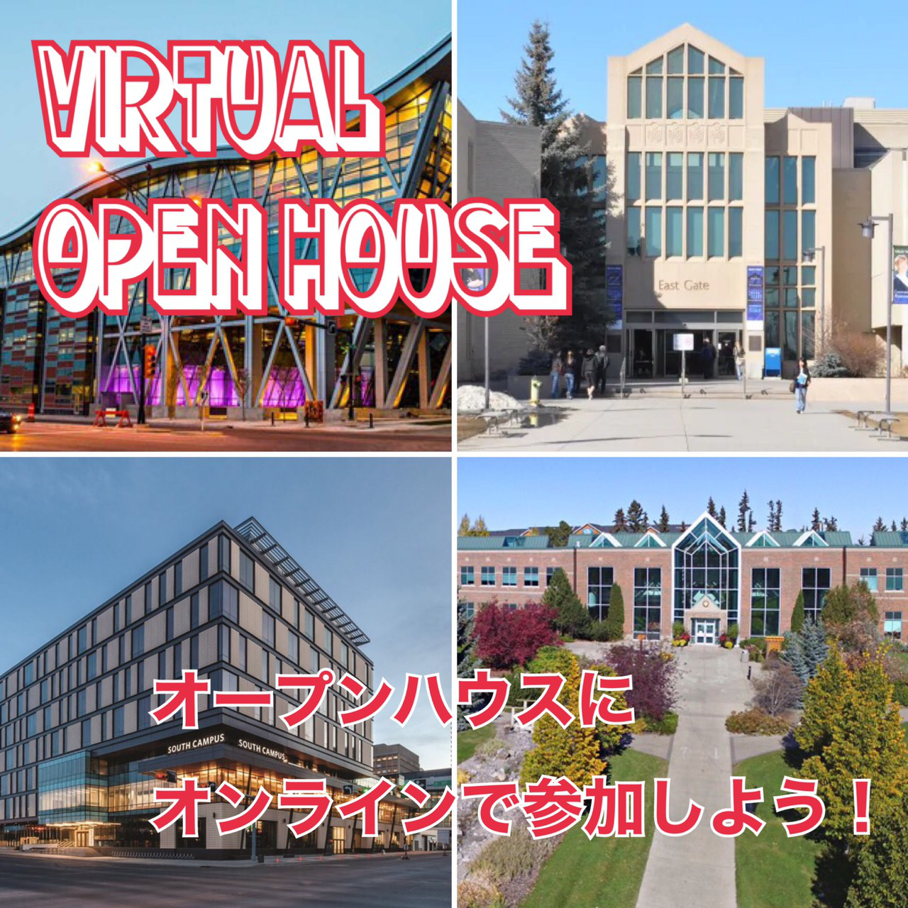 【バーチャル】カナダの大学、専門のオープンハウスに参加しよう【オンライン】