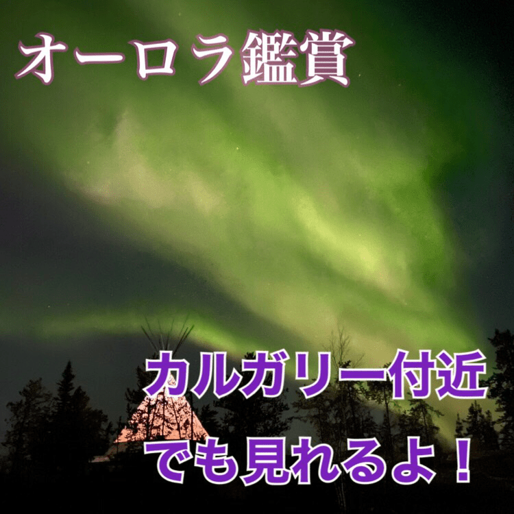 カルガリーでオーロラ鑑賞
