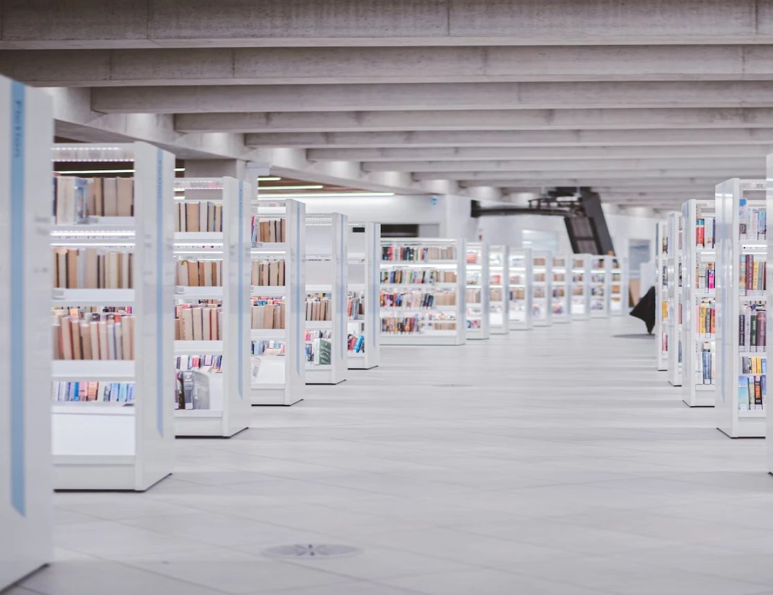 Vulnerability Disclosure Fpt Software - Download Artistic Landscape Picture | 8K