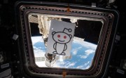 REDDIT CONFIRME UNE VIOLATION APRÈS QUE LES DONNÉES D'UN EMPLOYÉ ONT ÉTÉ COMPROMIS