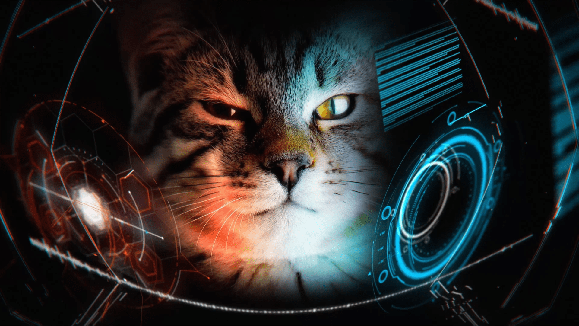 ironmew 01.webp