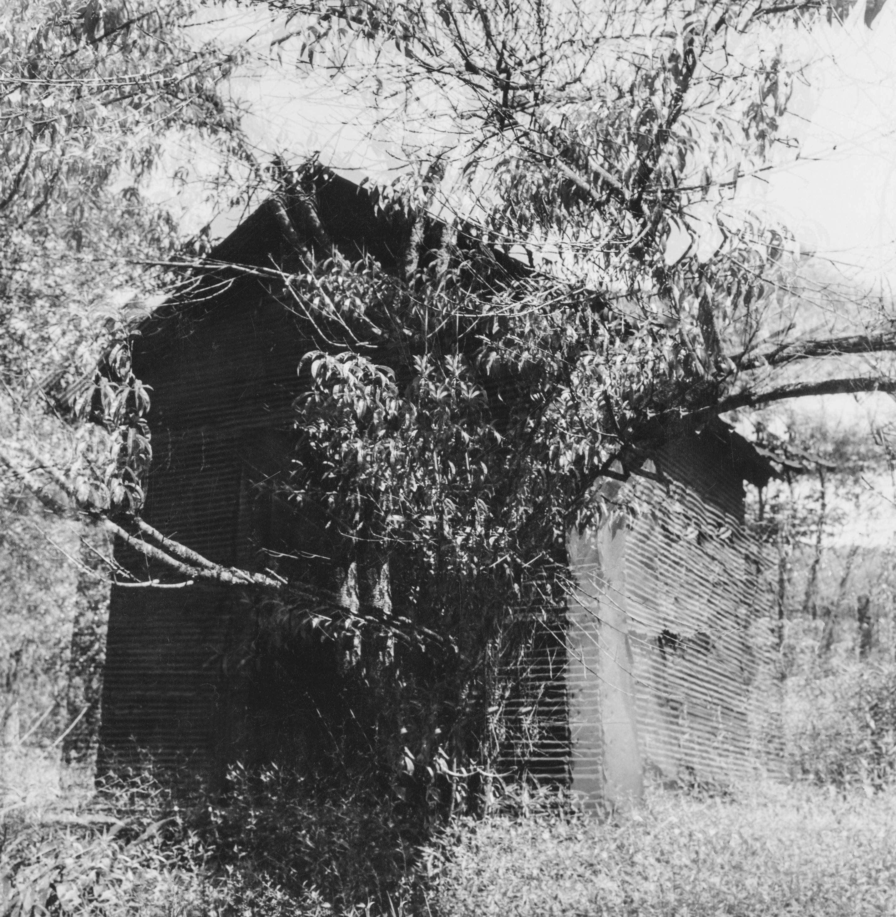Ralph Eugene Meatyard | Fraenkel Gallery