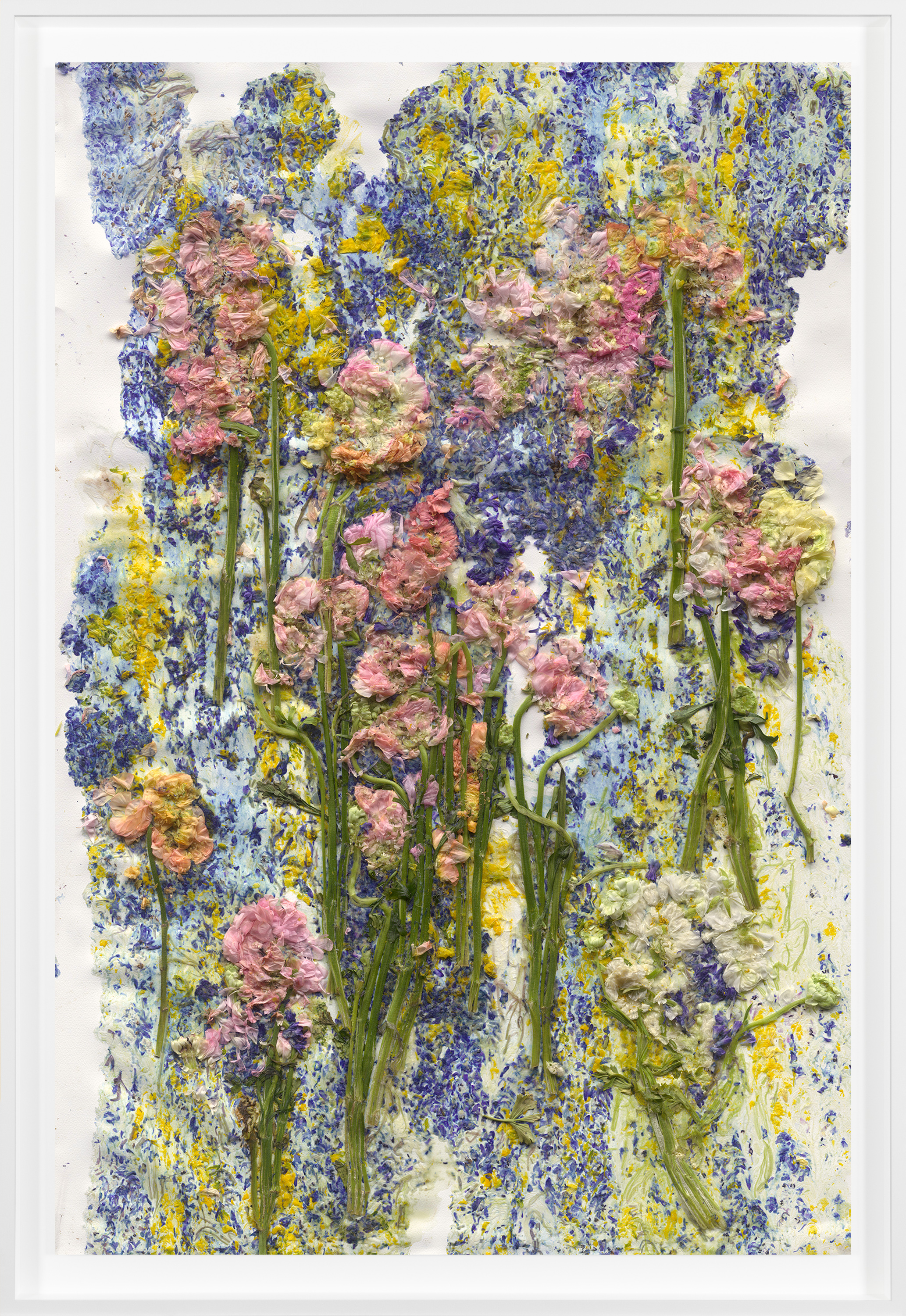 Adam Fuss | Fraenkel Gallery
