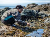 10 Marine Biology Programs For High School Students