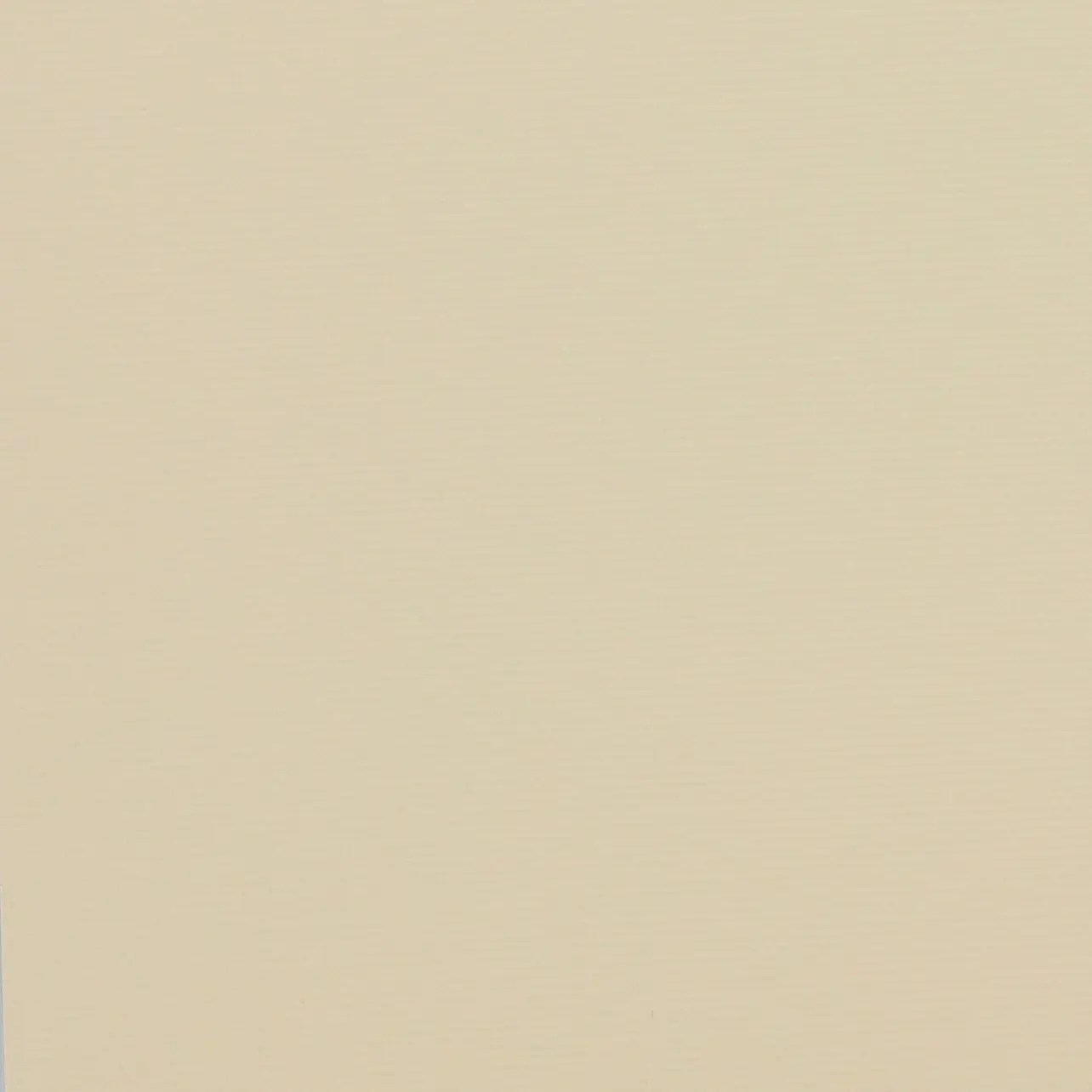 Light beige blackout fabric with smooth, matte finish.