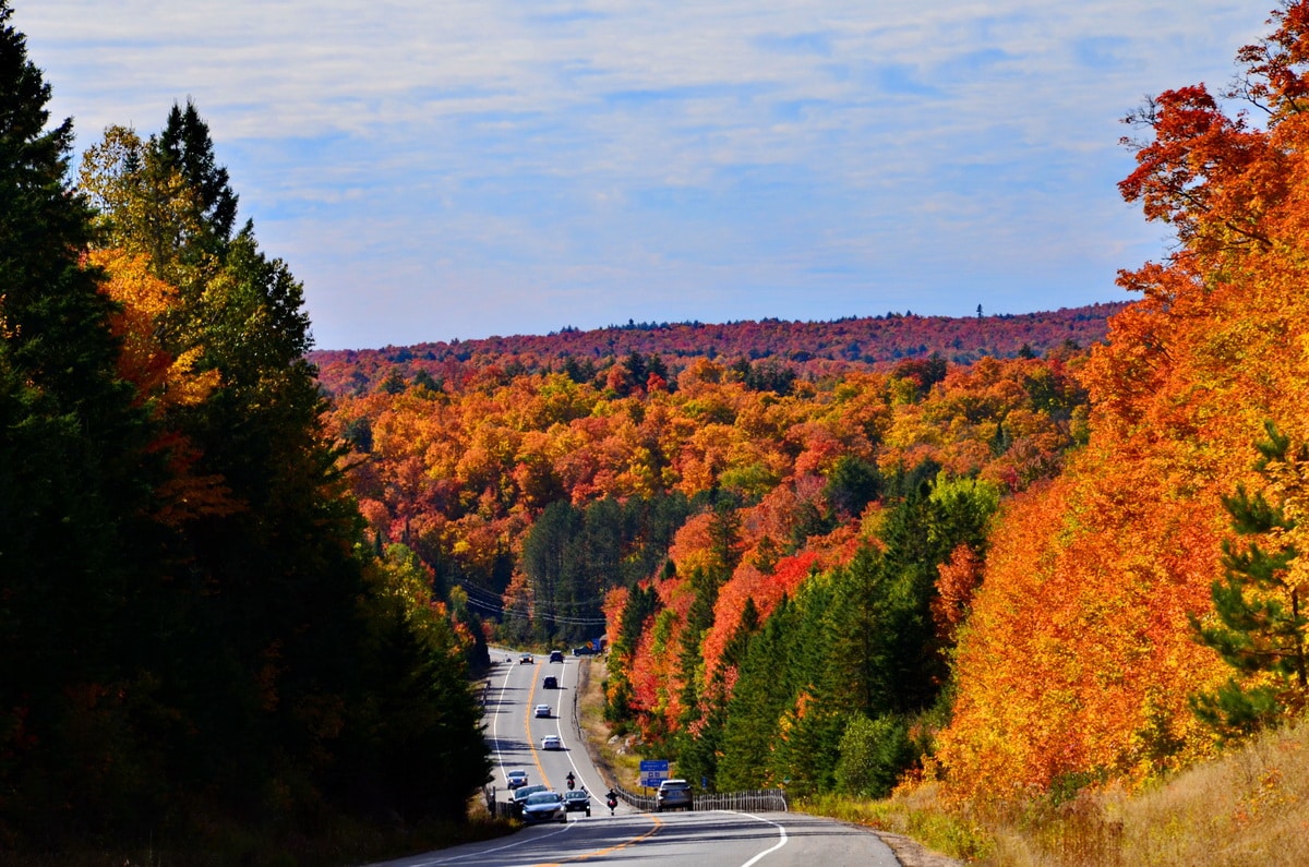 Early autumn in Algonquin Park パステル画 Early autumn in Algonquin Park パステル画 Algonquin Park