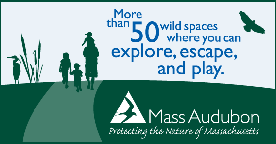 See the source image