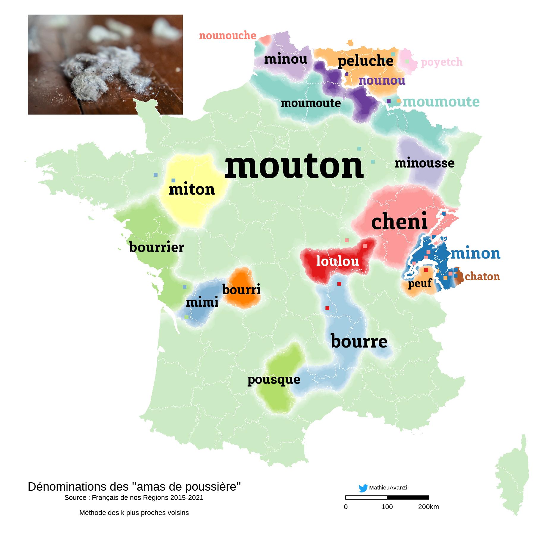 Comment On Dit Poil En Anglais Les dénominations de l'amas de poussière – Français de nos régions