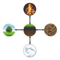 elements
