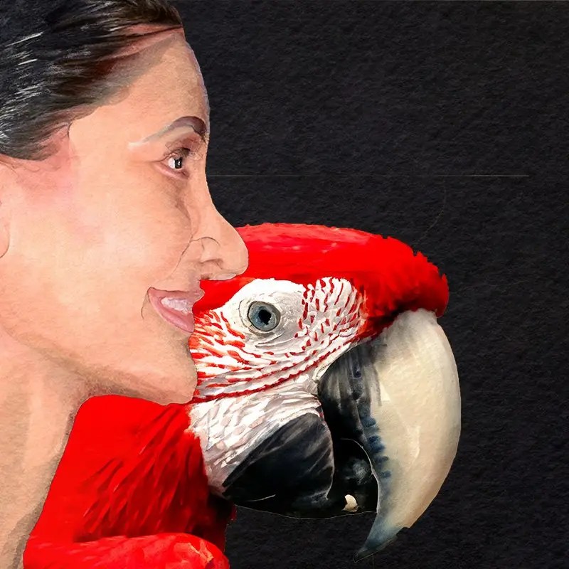 Understanding Polly Beak Deformity and its Relationship with Rhinoplasty