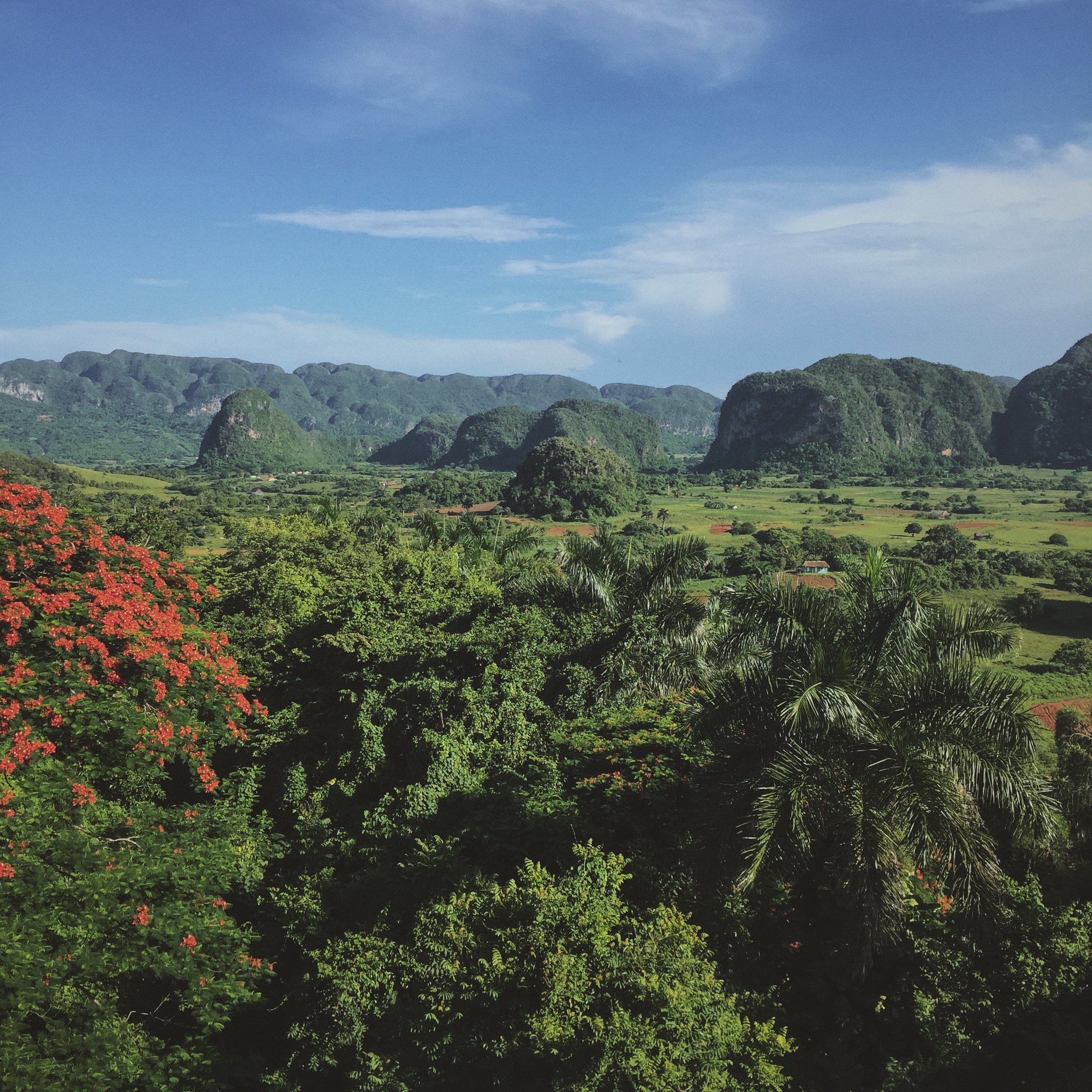 Processed with VSCO with m3 preset