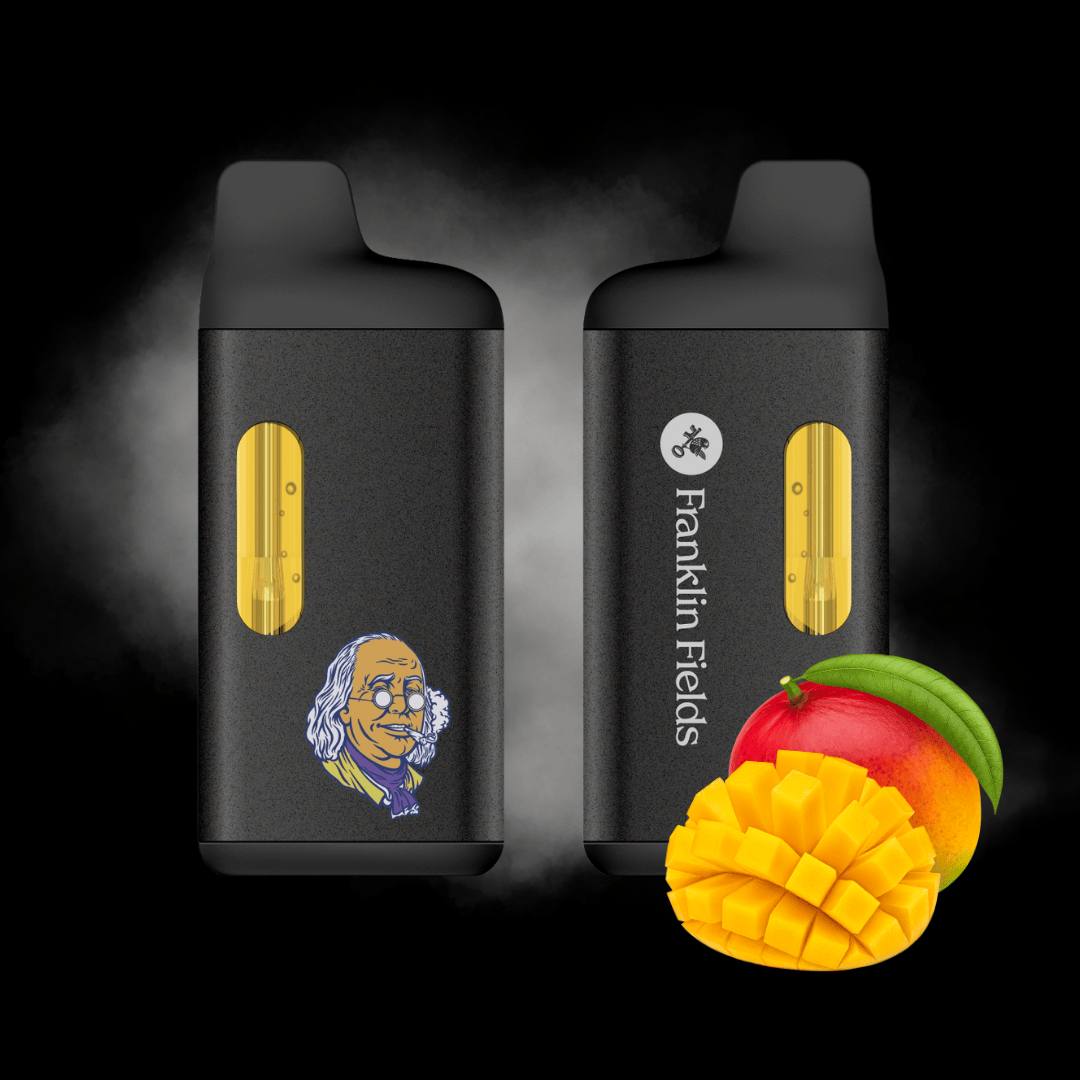Penjamin Vape Franklin Fields Disposable 2g Big Ben