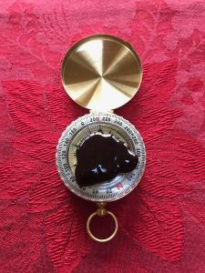 Chrysalis Crisis Charlottesville