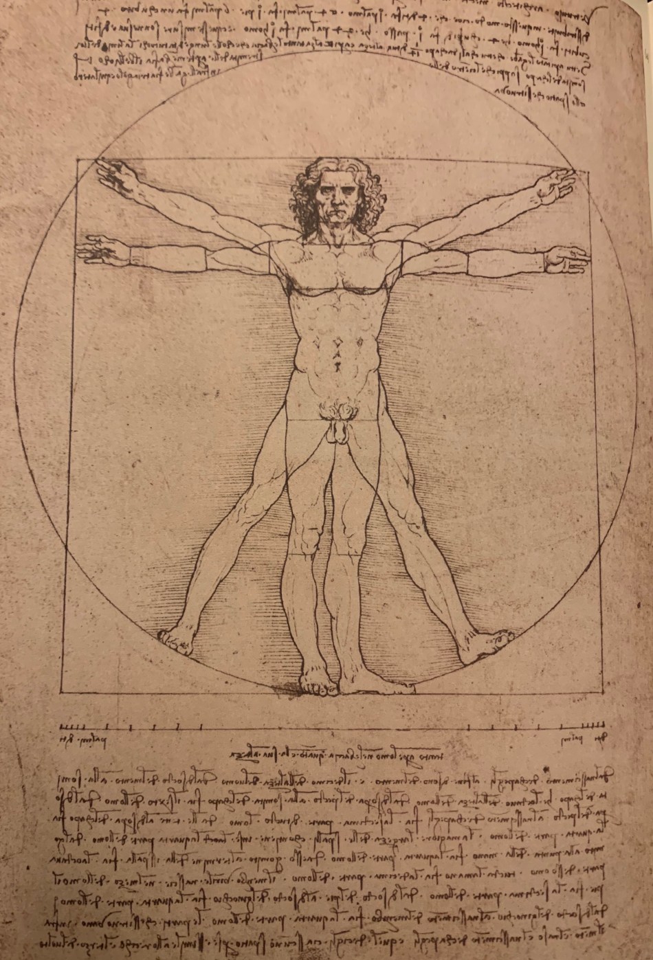Vitruvian man