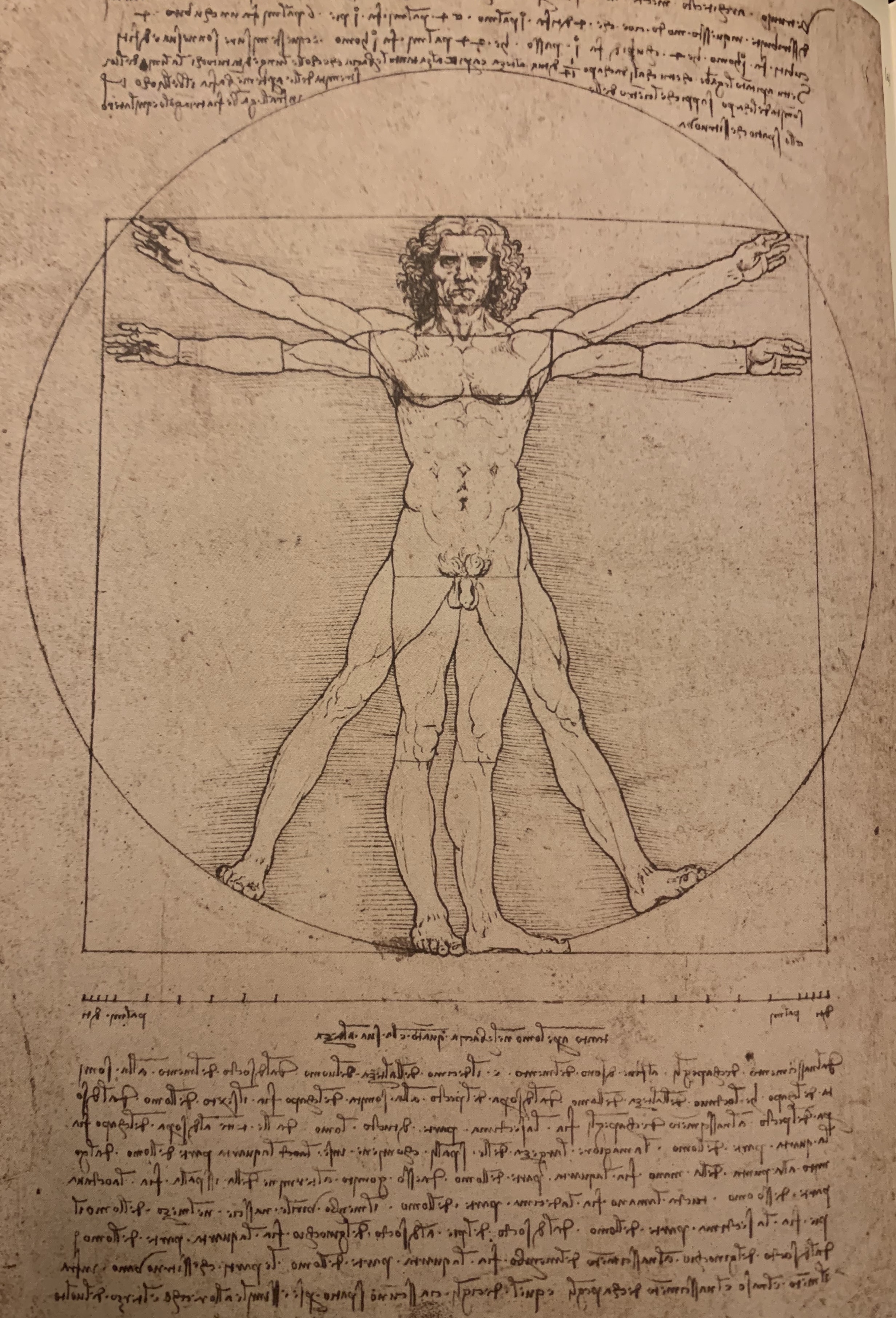 Read more about the article Coding, rivalry, seashells, golden triangles and rampant rabbits.