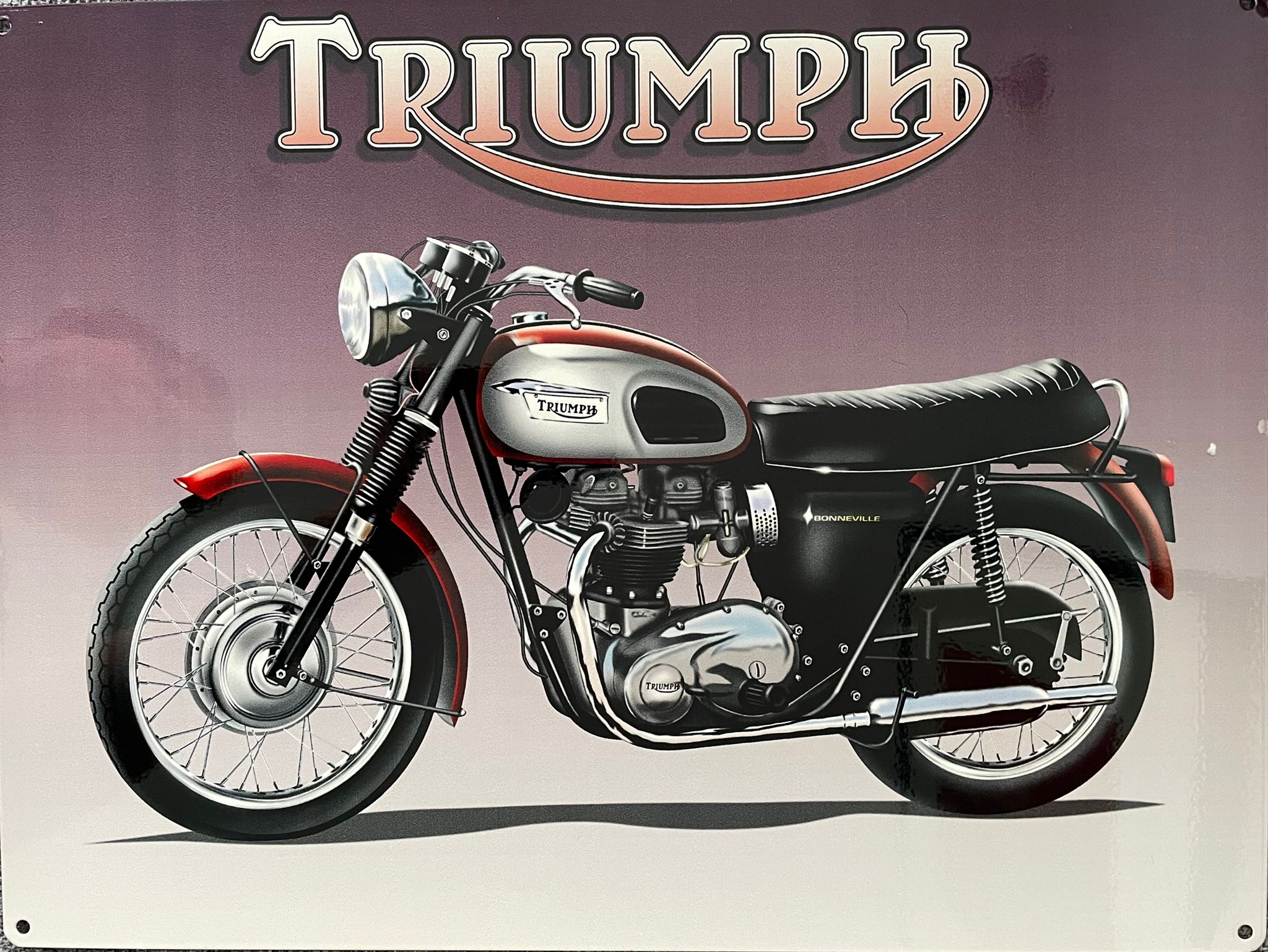 Triumph Metal Sign