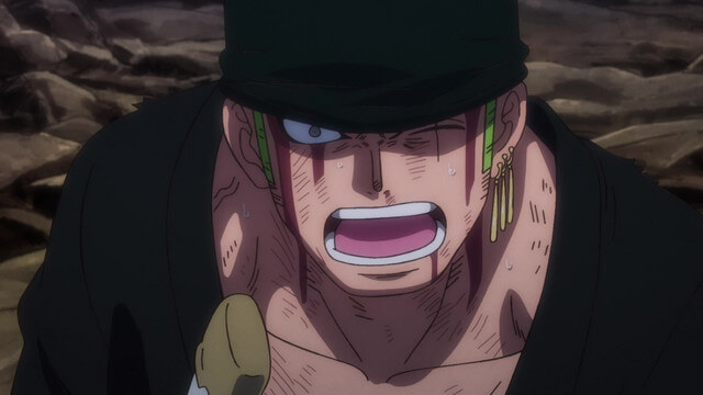 1028 one piece