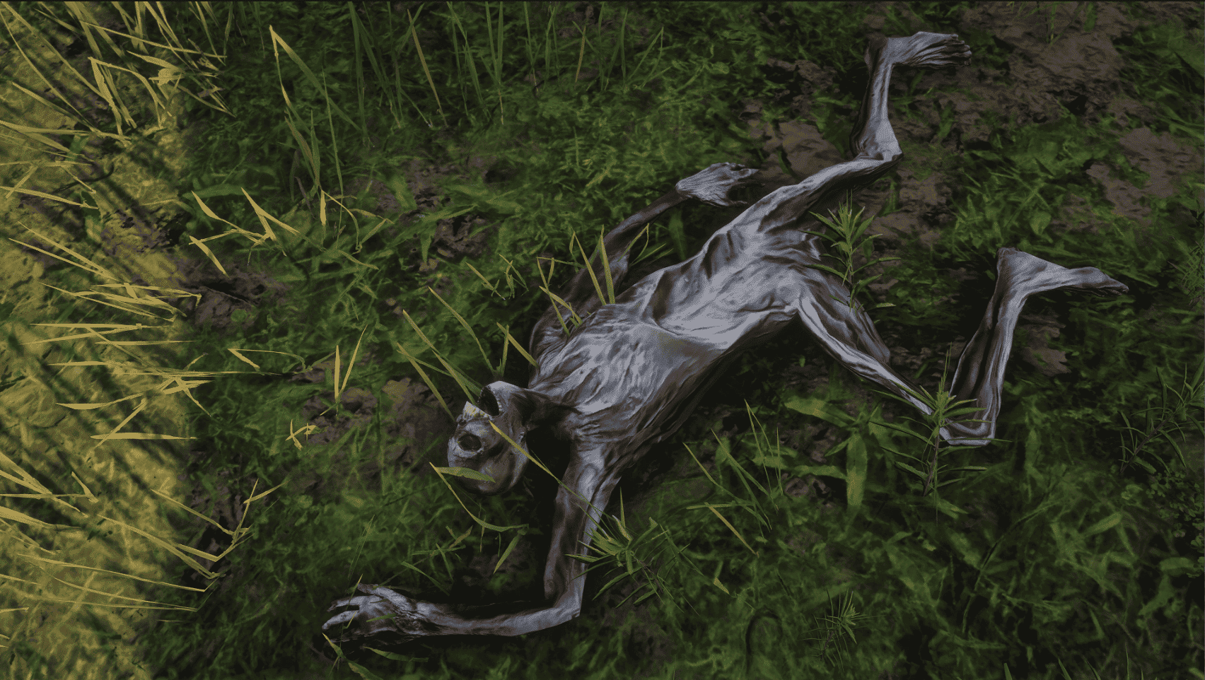 Décomposition d'un corps dans RDR2
