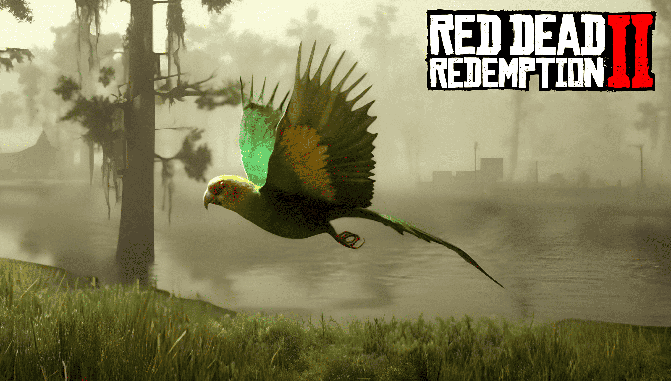 Conure de caroline RDR2