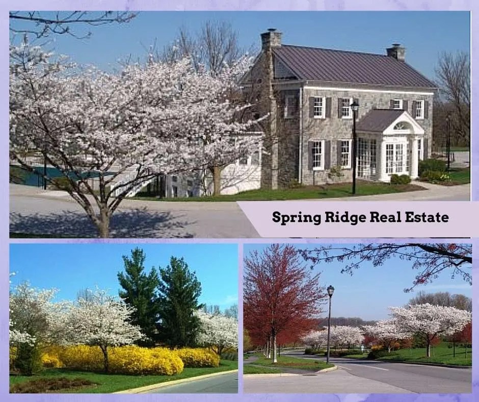 Homes for Sale in Spring Ridge Frederick Md