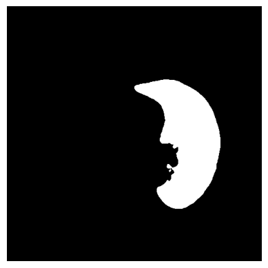 Fjoann Frederik Github - Artistic Nature Background - Ultra HD