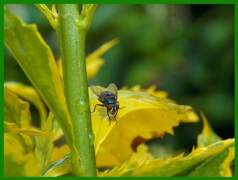 Some Application Examples Of Bcode - Download Amazing Space Image | Ultra HD