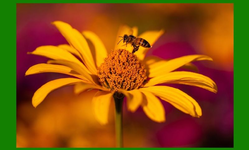 Some Application Examples Of Bcode - Premium Landscape Illustration Gallery - High Resolution