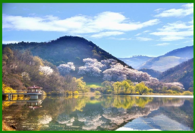 Encoding Of The Iconlab Intercode - Premium Dark Image Gallery - 8K