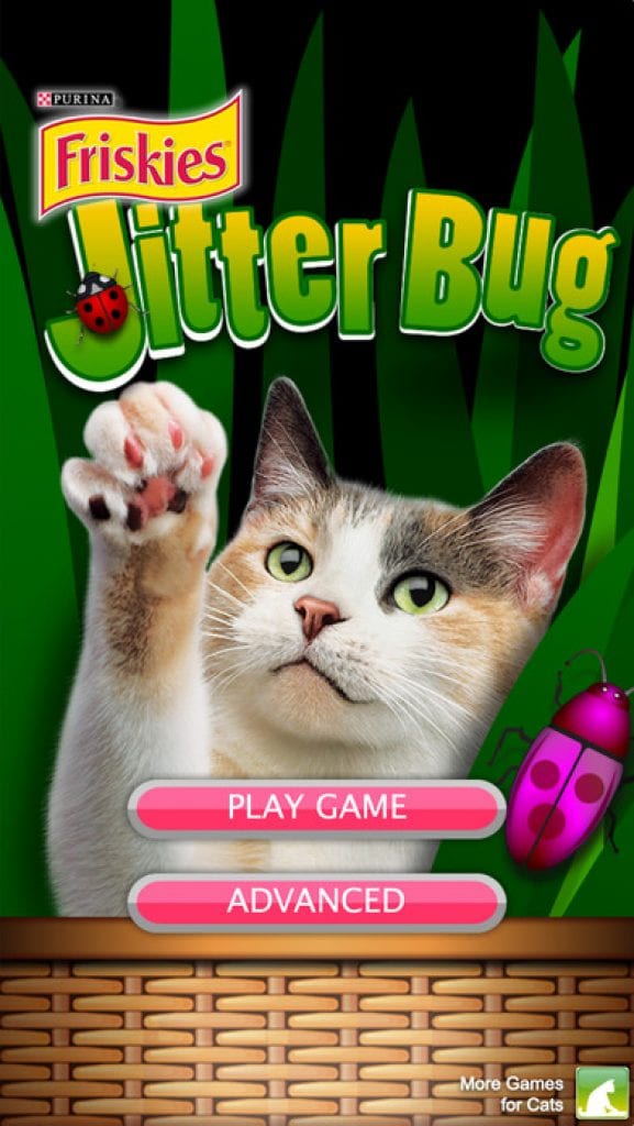 10 exciting video games for cats on ipad