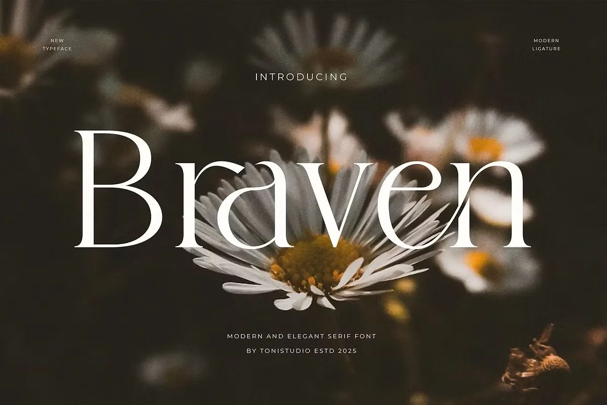 Braven by ToniStudio - Img 01