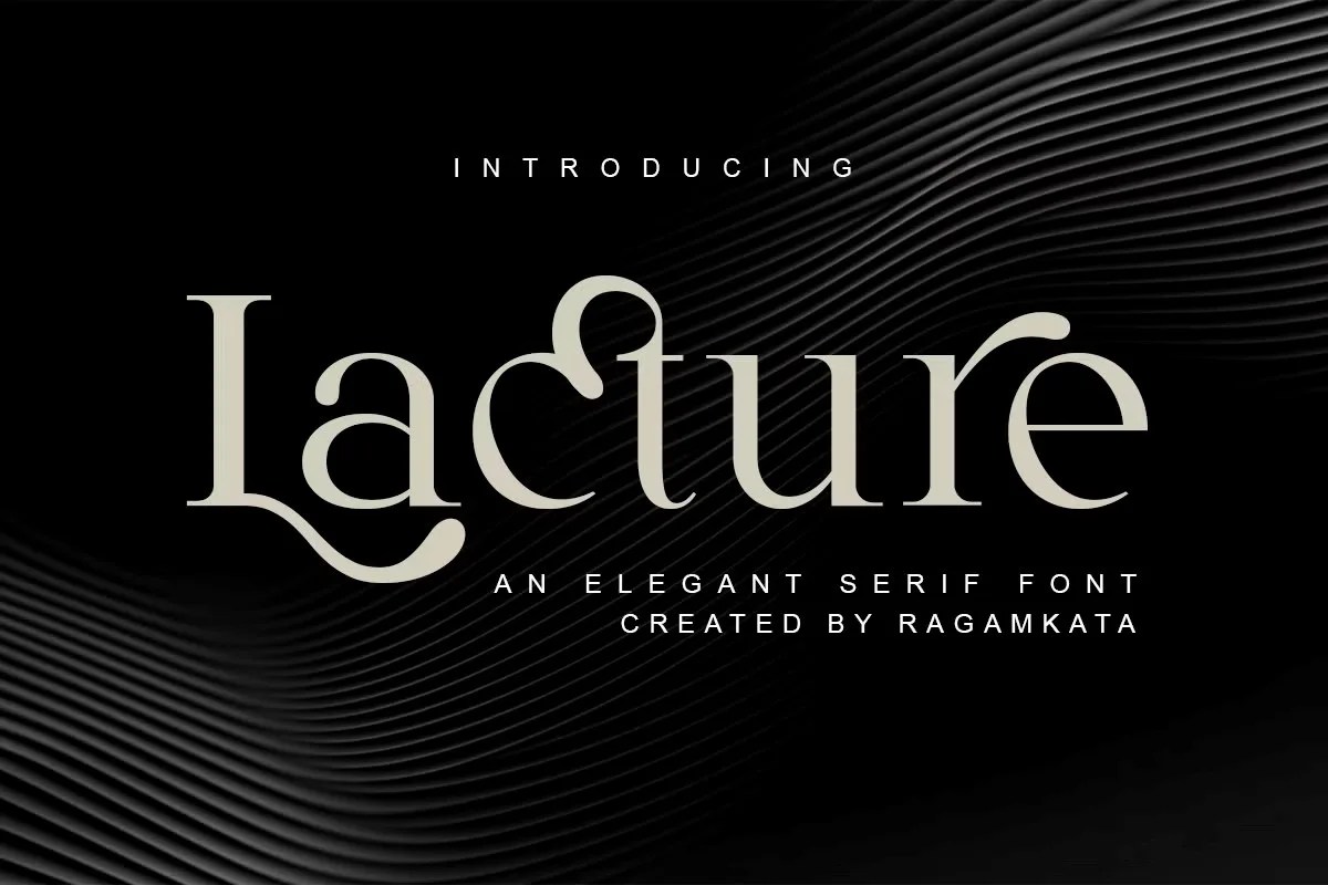 Lecture by RagamKata - Img 01