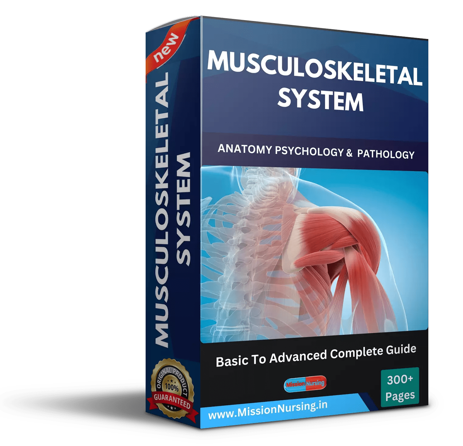 Musculoskeletal System