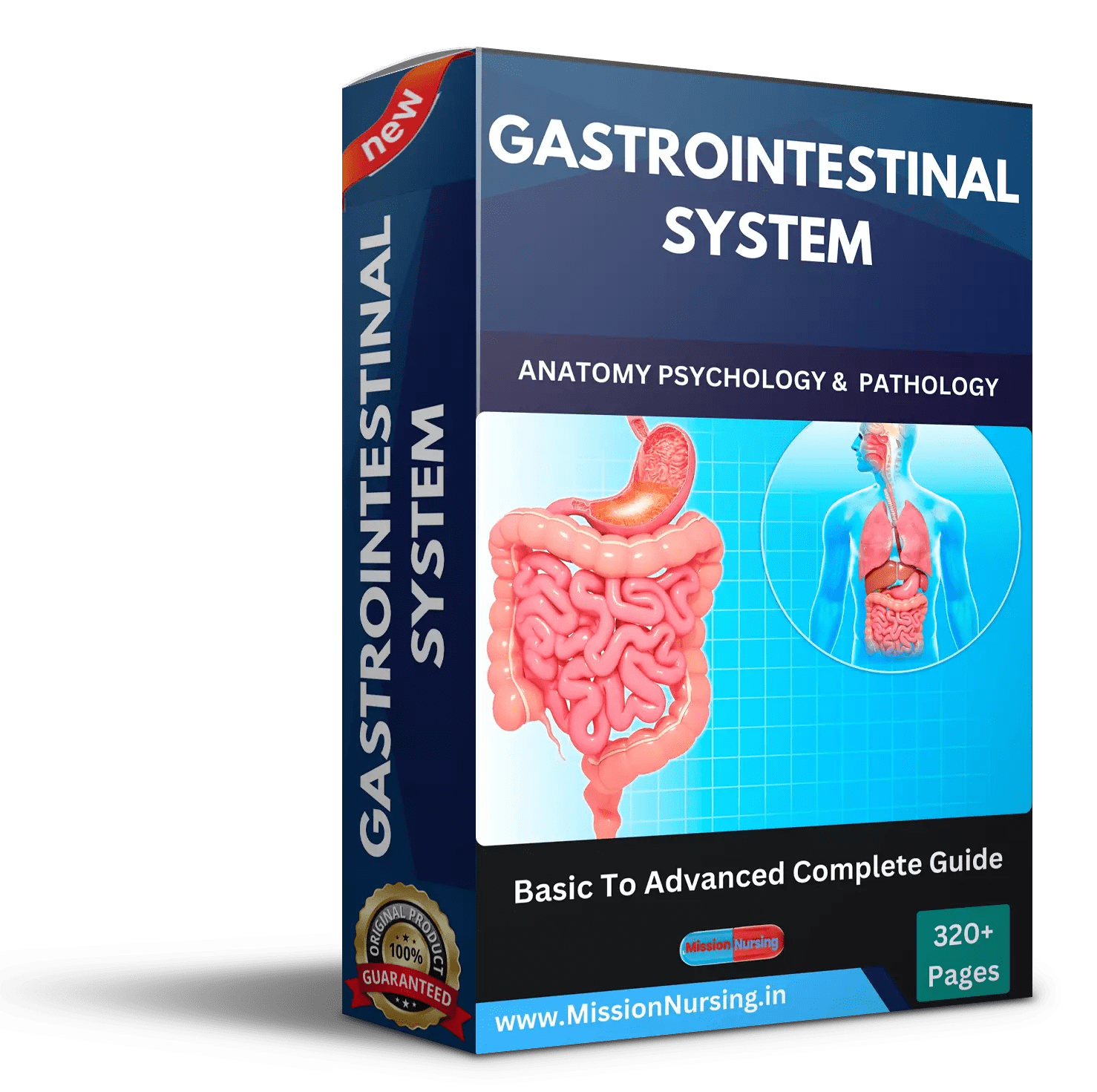 Gestrointestinal System