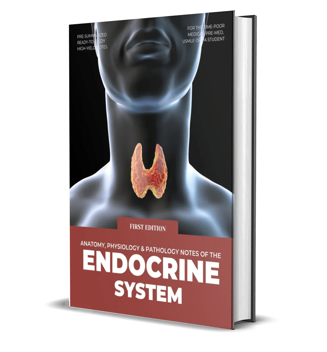 Endocrine System High-Yield Notes e-book