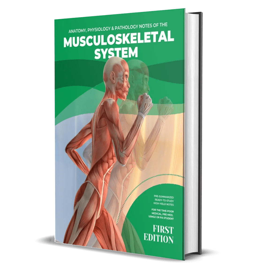 Musculoskeletal System High-Yield Notes e-book
