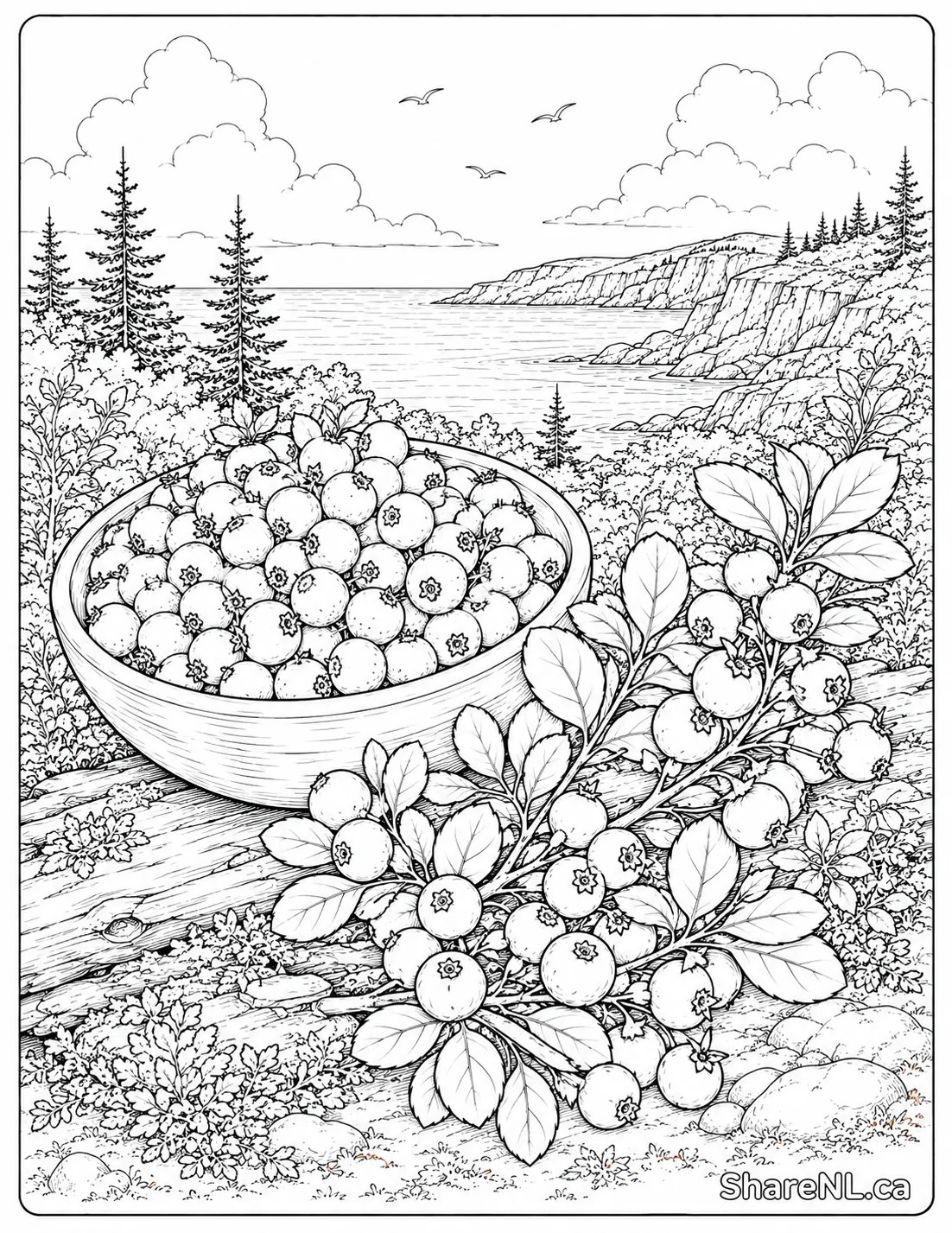 Partridgeberries