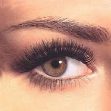 mrViewer 64-bit 4.2.2