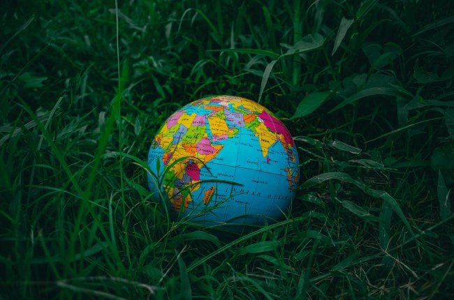 globe on green grass