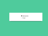19 Css Radio Buttons In 2025 Free Html Designs