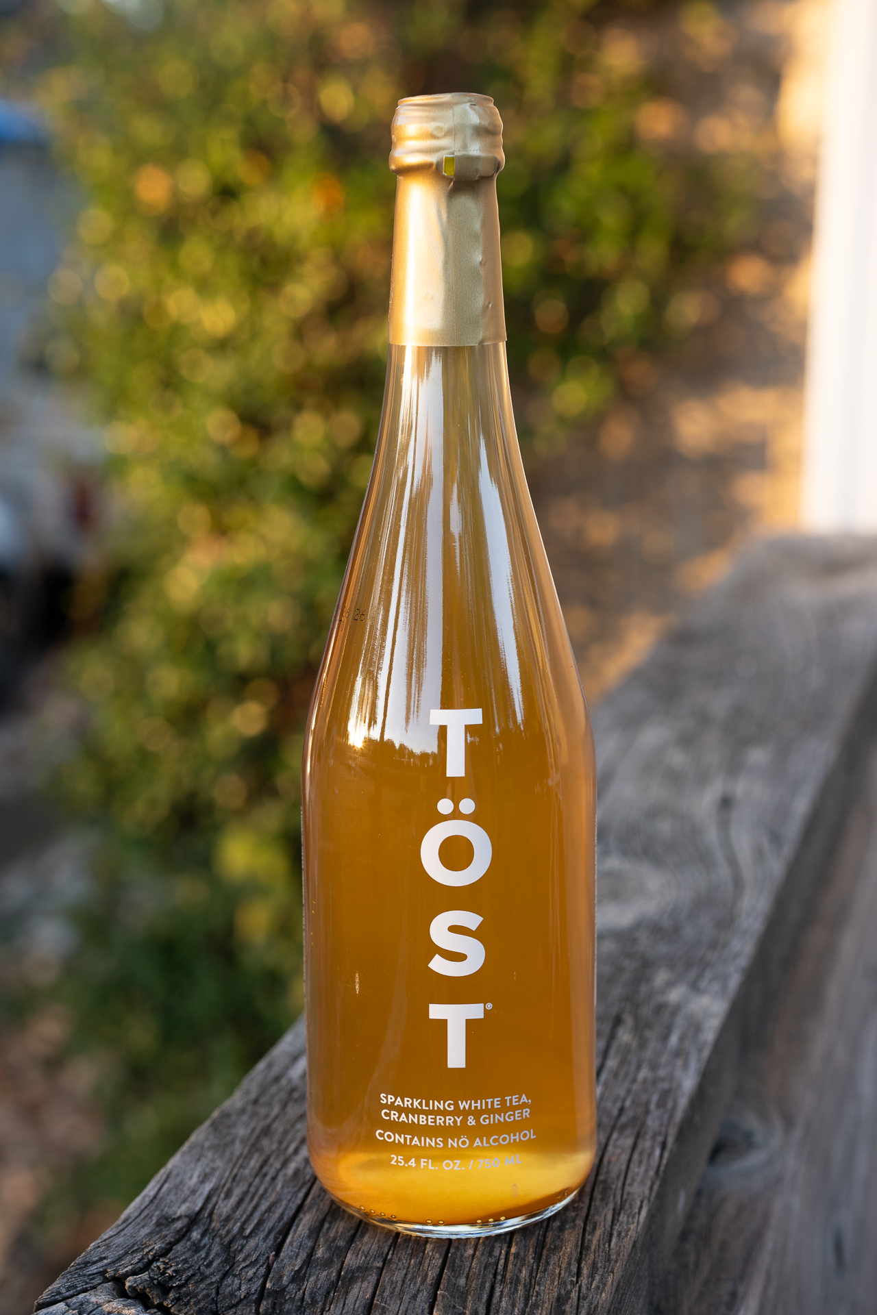 TÖST