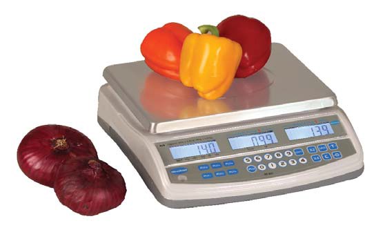 Contact Freeman Scale - Modern Retina Colorful Images | Free Download