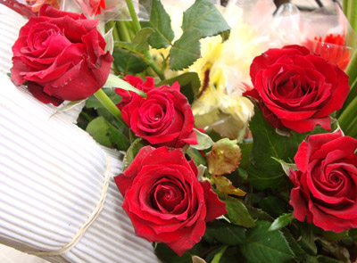 Red Roses