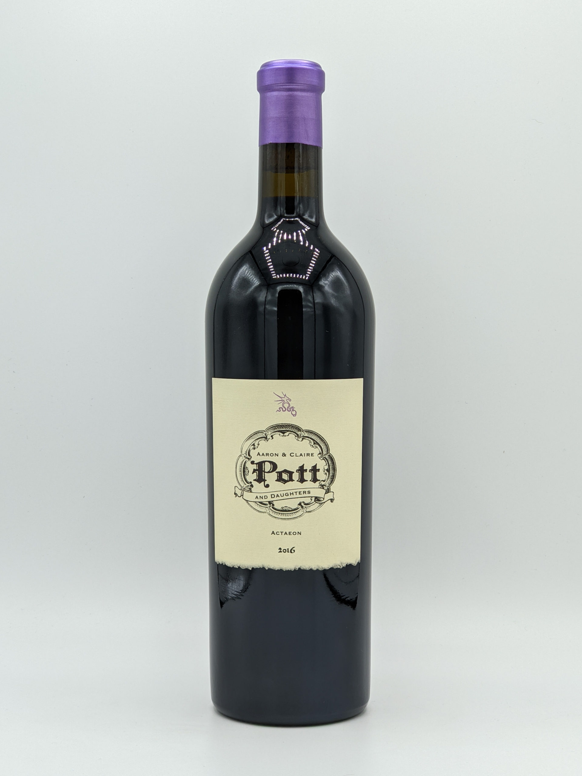 Pott-actaeon-2016-scaled.jpg?