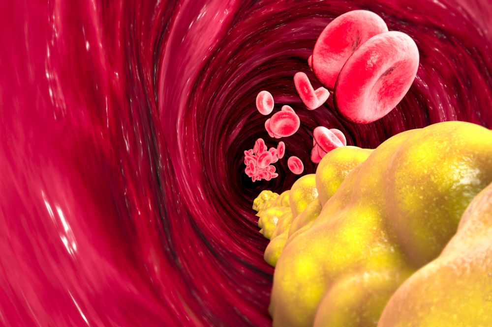 Lipid Digestion