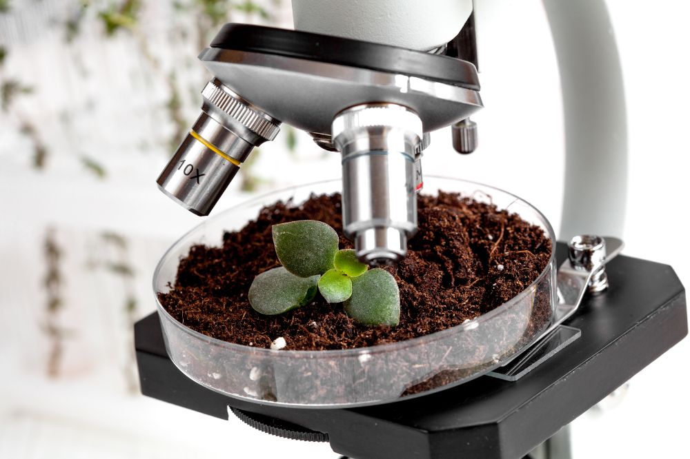 Microscopic Techniques for Examining Cellular Structures