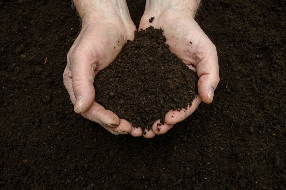 Organic Fertilizers
