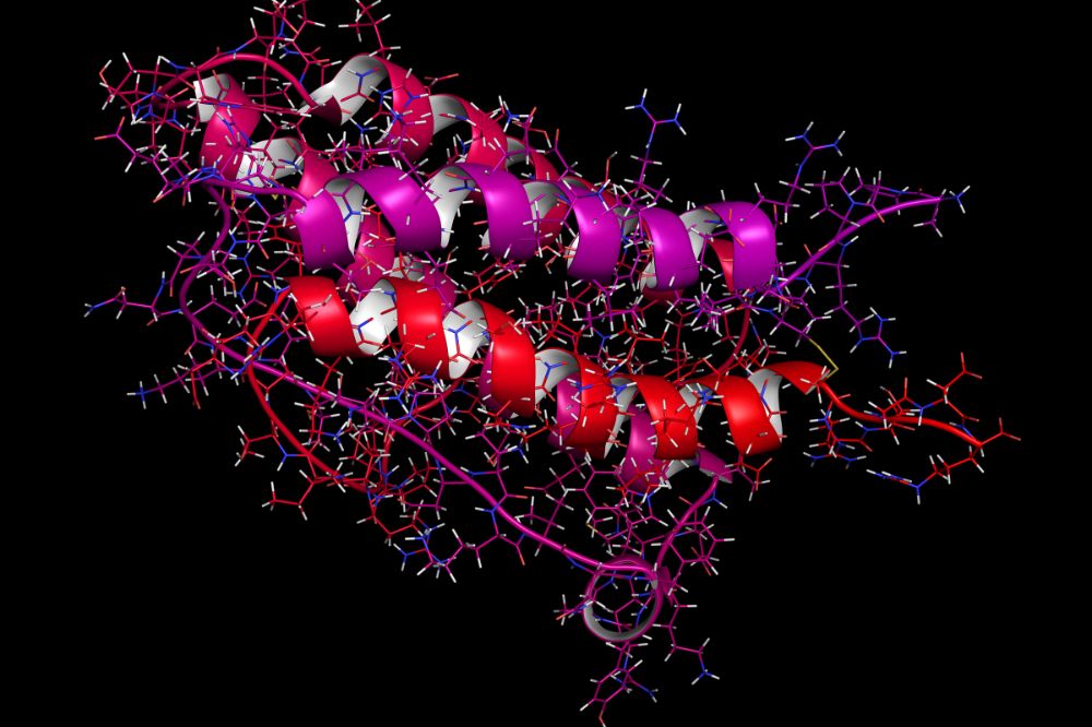 Protein structure