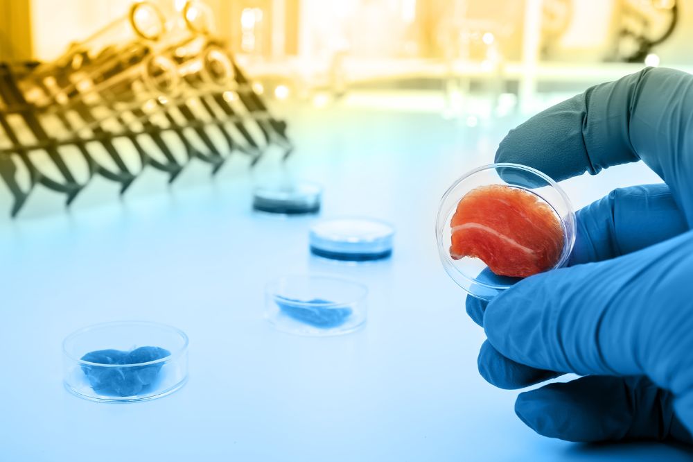 Tissue engineering