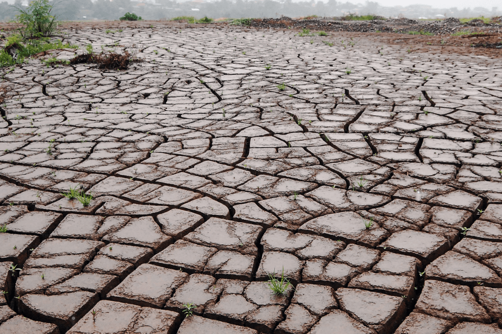 devastating drought
