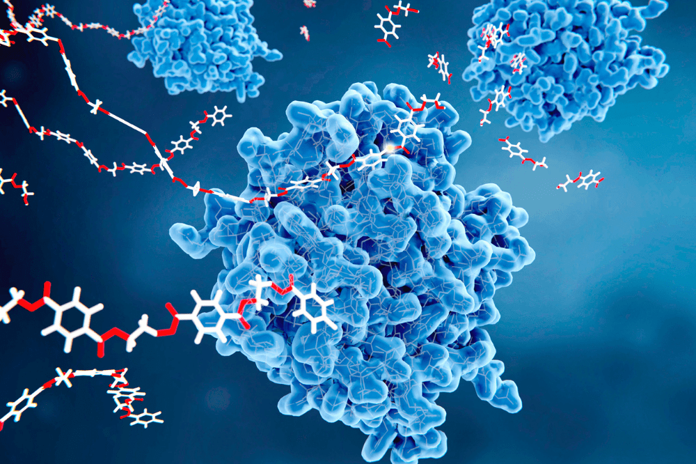 enzyme technology